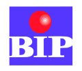BIP Logo